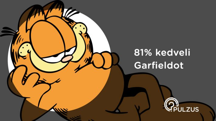 Pulzus kutatás - Garfield a lusta macska